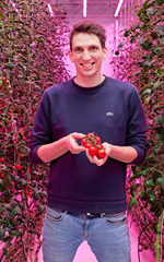 A person standing in a greenhouse holding red berriesAI-generated content may be incorrect.